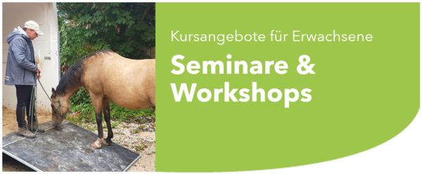 Seminare und Workshops Pferde Horsemanship, Pferde Seminare, Pferde Workshops, Hängertraining Pferd, Pferdetraining